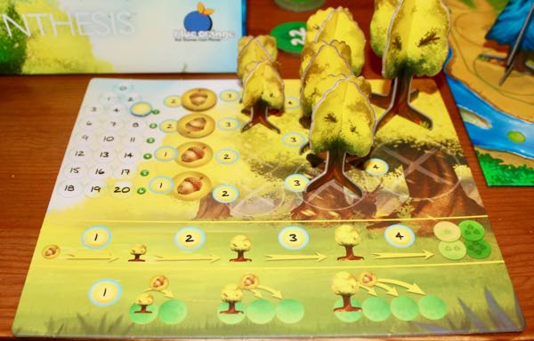 Photosynthesis player board